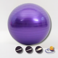 Finique™ Premium Stability Ball